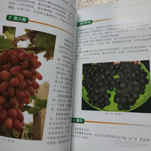 图说葡萄栽培关键技术 正版彩图
